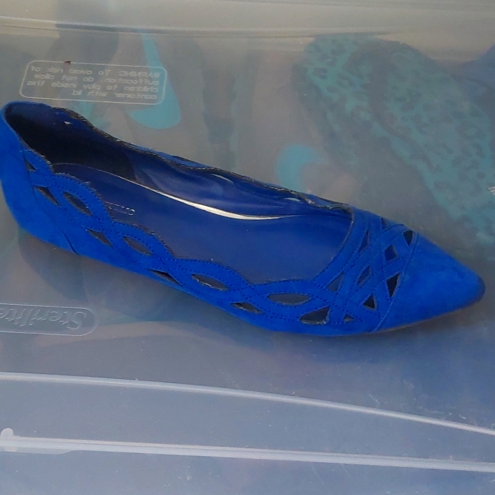 Banana Republic Factory - Cobalt Blue Flats